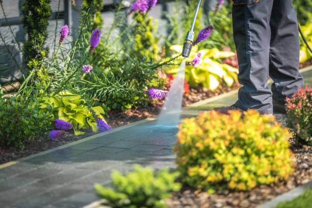 Best Boat and Dock Cleaning  in Colma, CA
