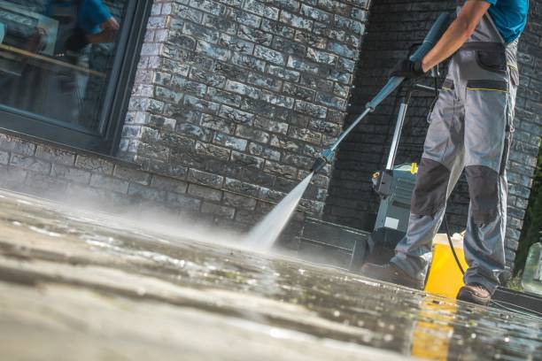 Best Animal Enclosure Cleaning  in Colma, CA