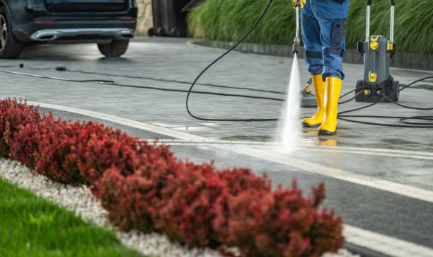 Best Dumpster Area Cleaning  in Colma, CA